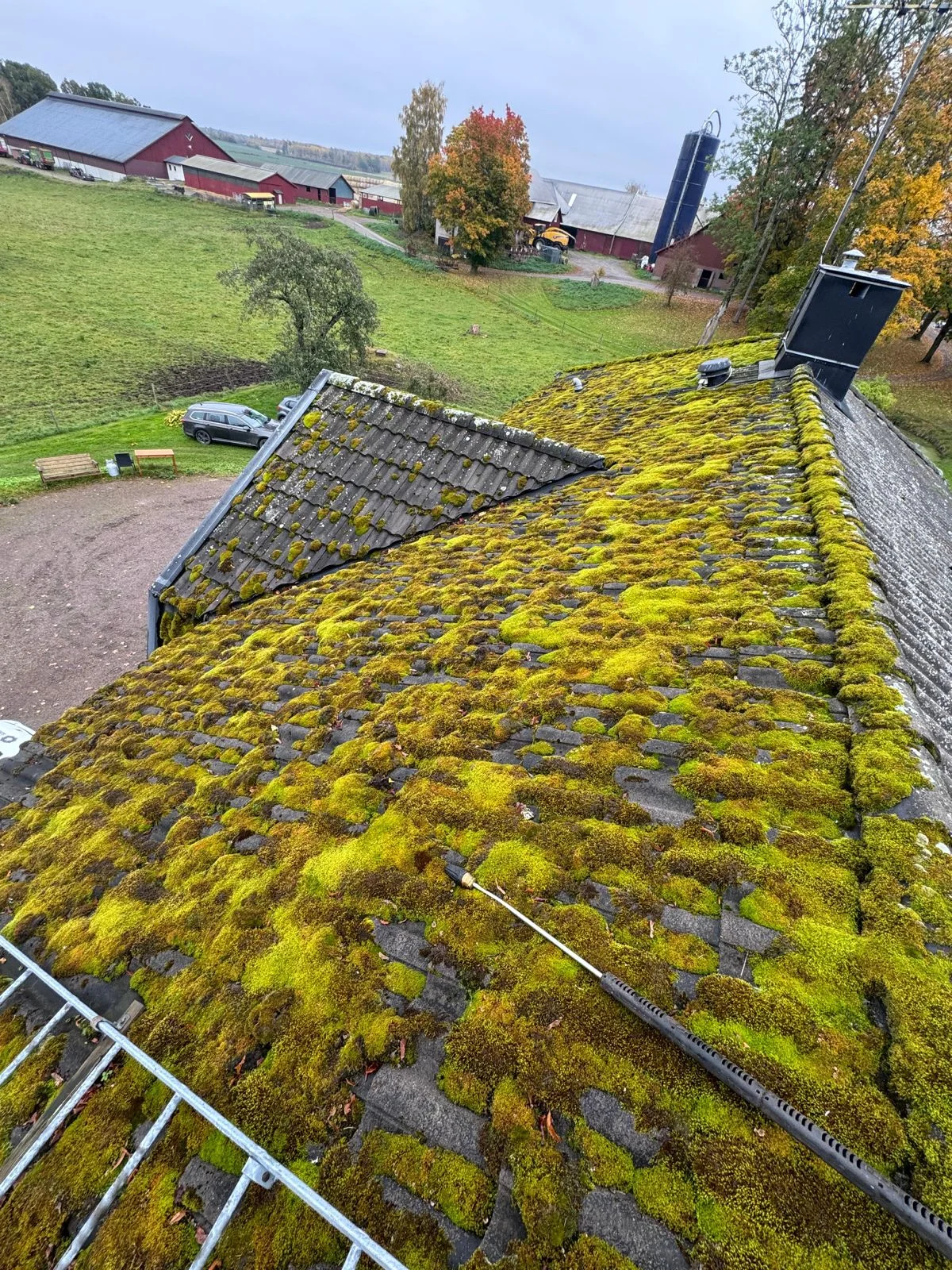Före – Taktvätt Betongpannor